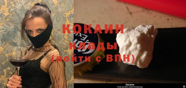 индика Новозыбков