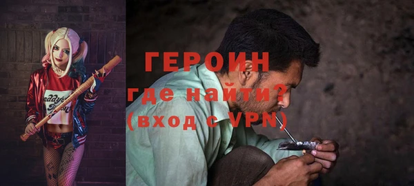 индика Новозыбков