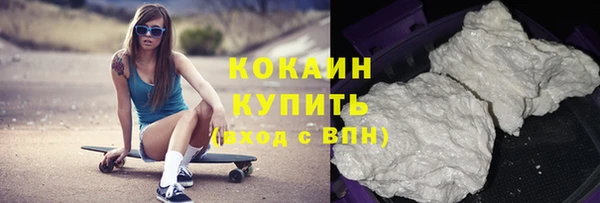 индика Новозыбков