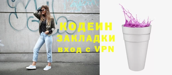индика Новозыбков