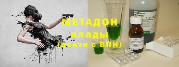 индика Новозыбков