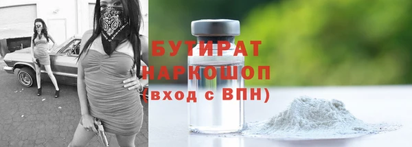 индика Новозыбков
