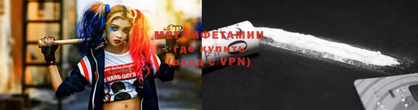 индика Новозыбков