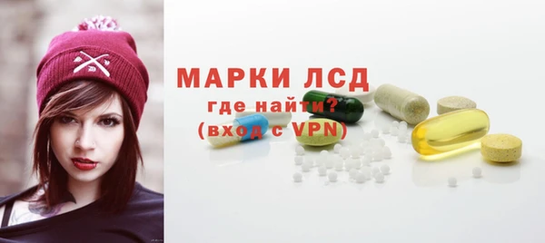 индика Новозыбков