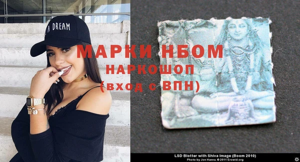 индика Новозыбков