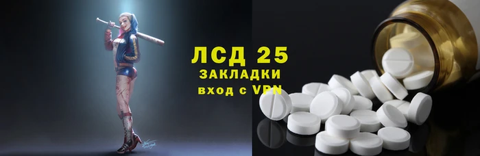 индика Новозыбков