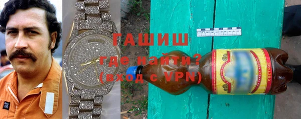 индика Новозыбков