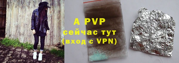 индика Новозыбков