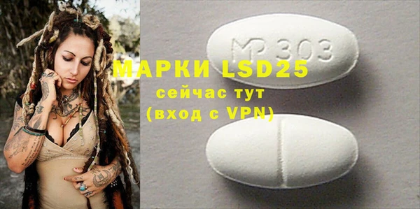 индика Новозыбков