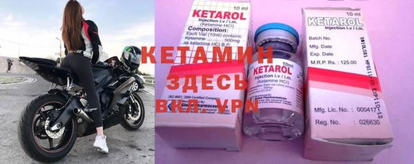 индика Новозыбков
