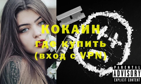 индика Новозыбков