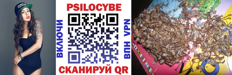 Купить где  Искитим  Псилоцибиновые грибы мицелий 